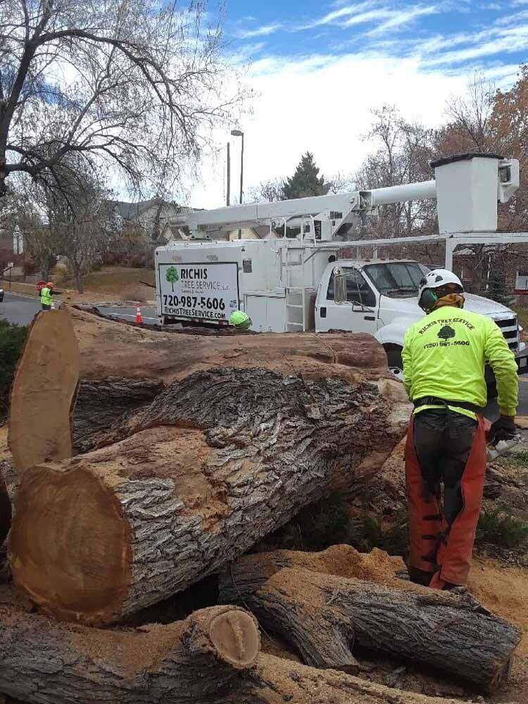 Pruning trees using a liftarm