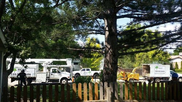 A fence with a few trucks parked in front of it.