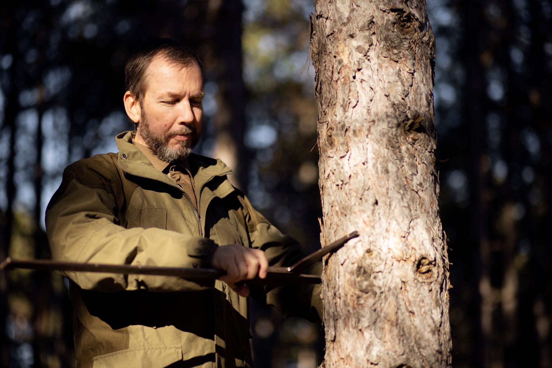 A man examines a tree trunk with a tool outdoors in a forest. Sunlight filters through the trees.