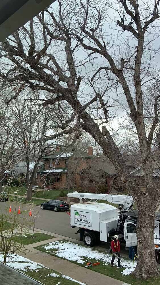 A tree cutting truck is parked in the driveway of a house.