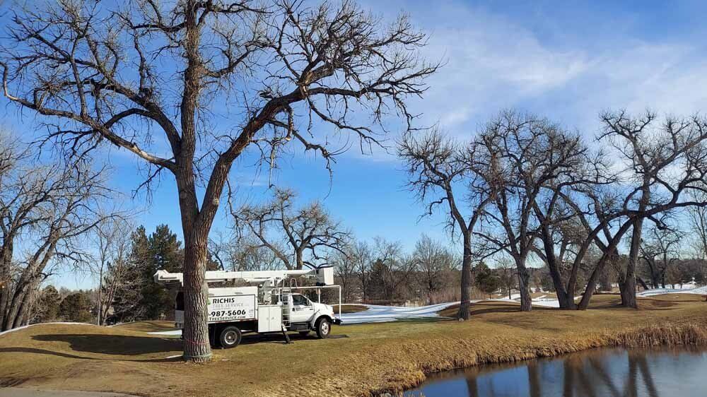 A white truck is parked next to a tree next to a body of water.