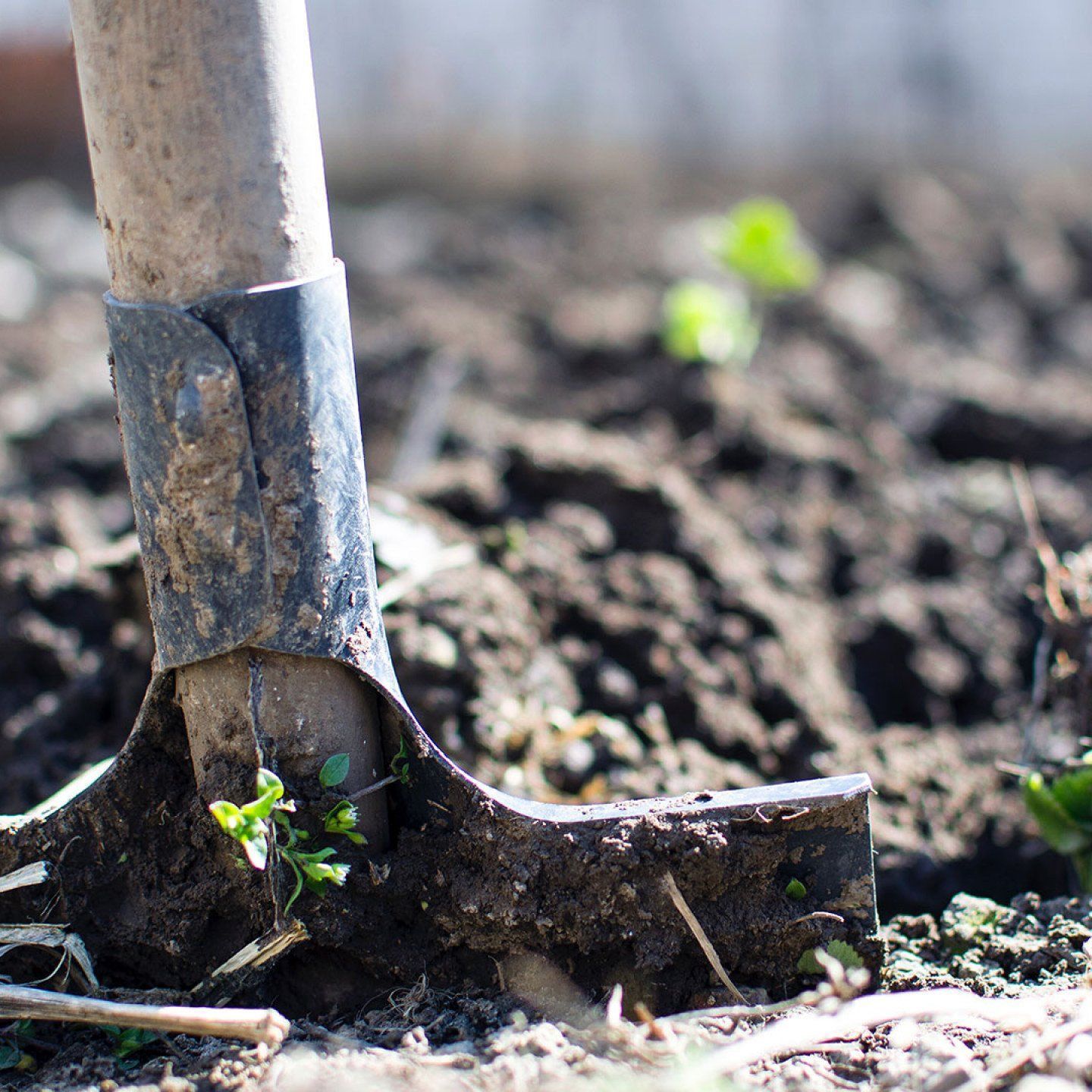 Fertilization Services in Centennial, Englewood, Highlands Ranch & Greenwood Village, CO